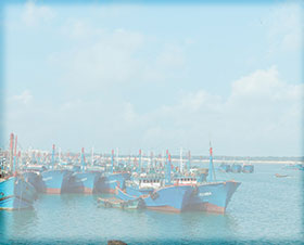 PG�齫������Ѱ�����-pg�齫�����������°��ȫ-��ɫ��Դ��