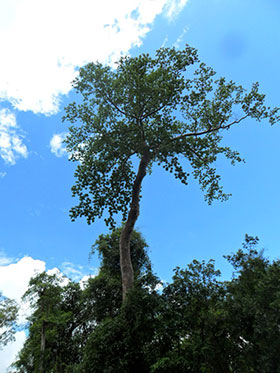 PG�齫������Ѱ�����-pg�齫�����������°��ȫ-��ɫ��Դ��