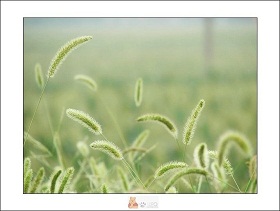 PG�齫������Ѱ�����-pg�齫�����������°��ȫ-��ɫ��Դ��