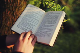 PG�齫������Ѱ�����-pg�齫�����������°��ȫ-��ɫ��Դ��