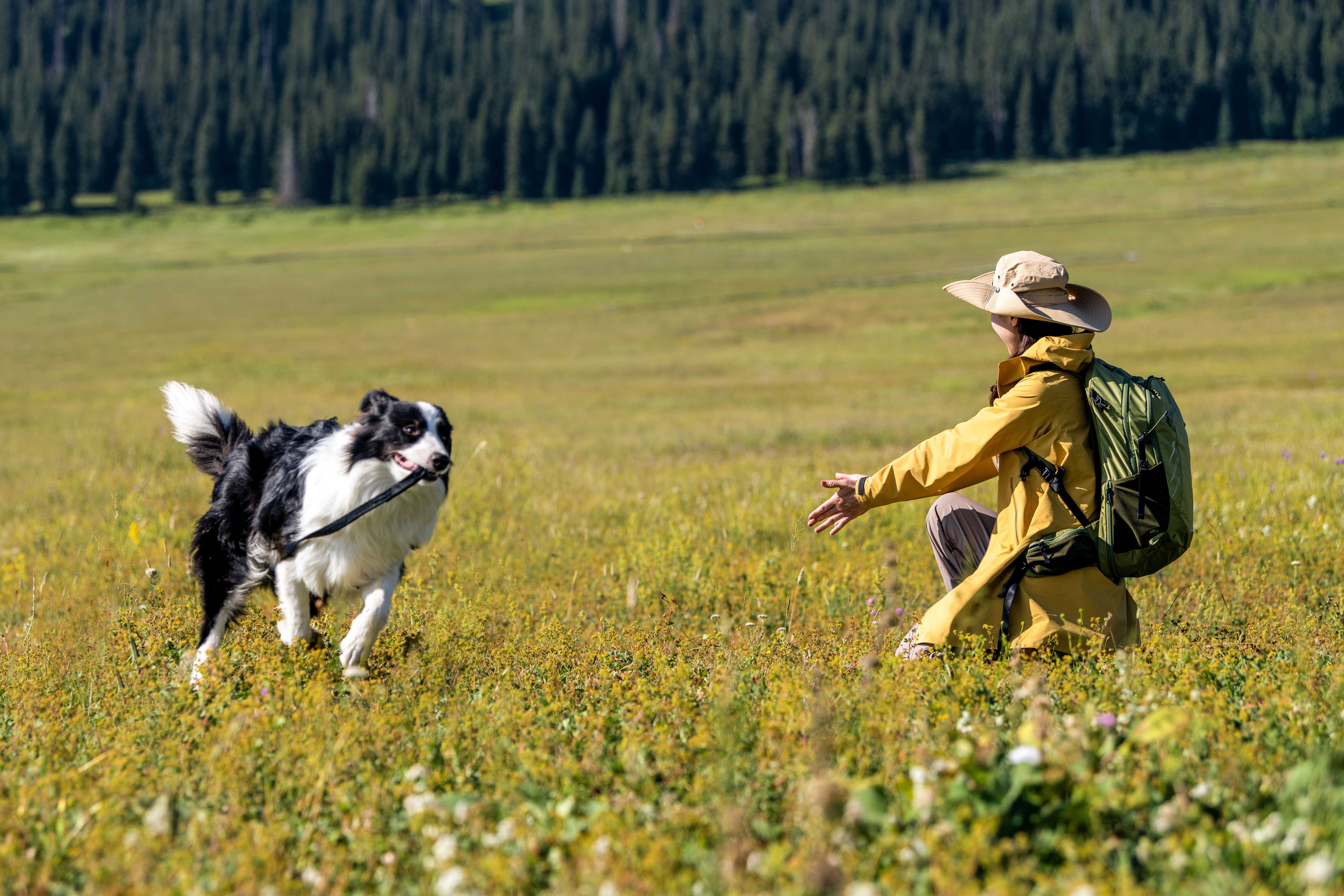 PG�齫������Ѱ�����-pg�齫�����������°��ȫ-��ɫ��Դ��